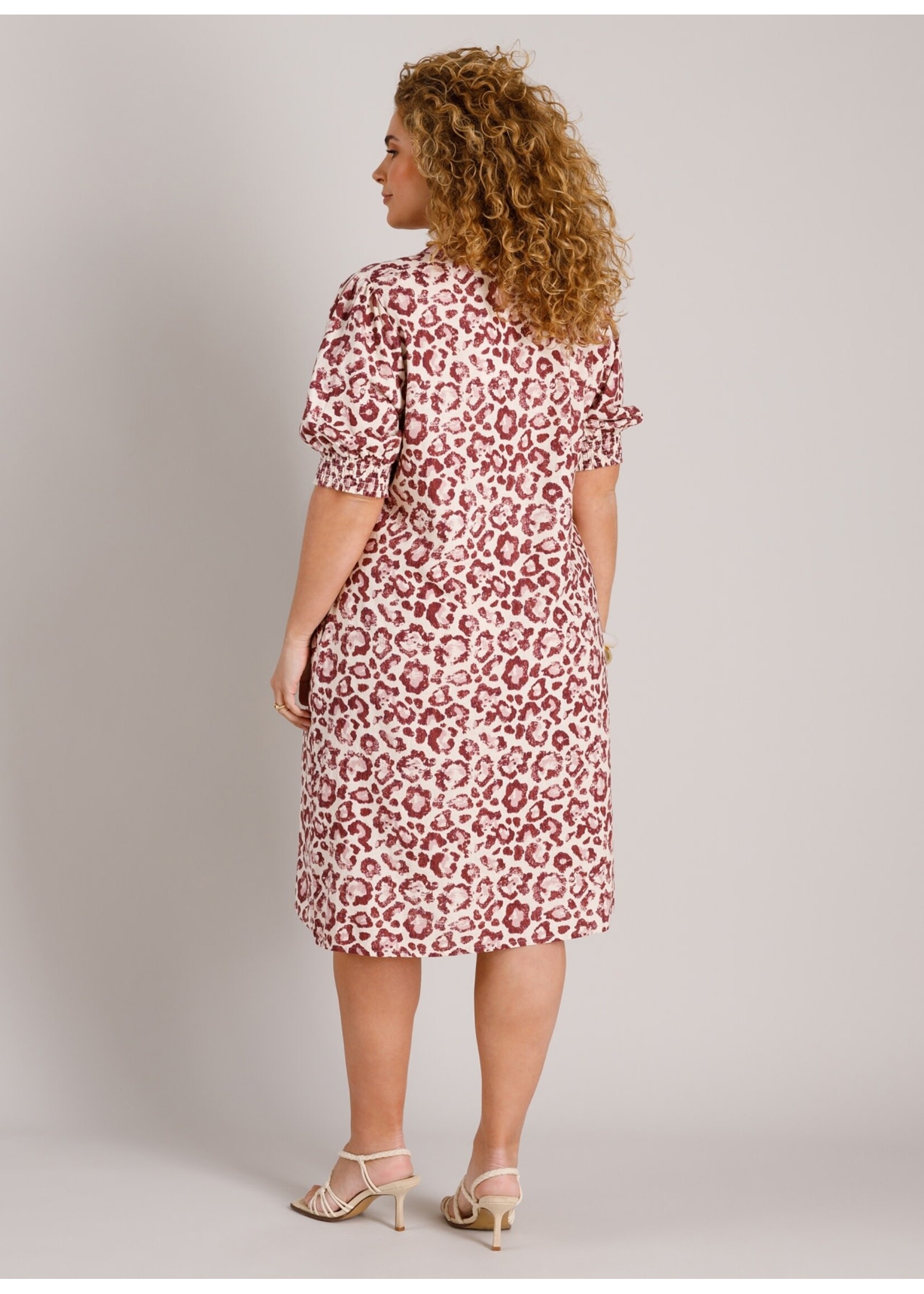 Yest Curve Yest Curve A006168 26.1.2