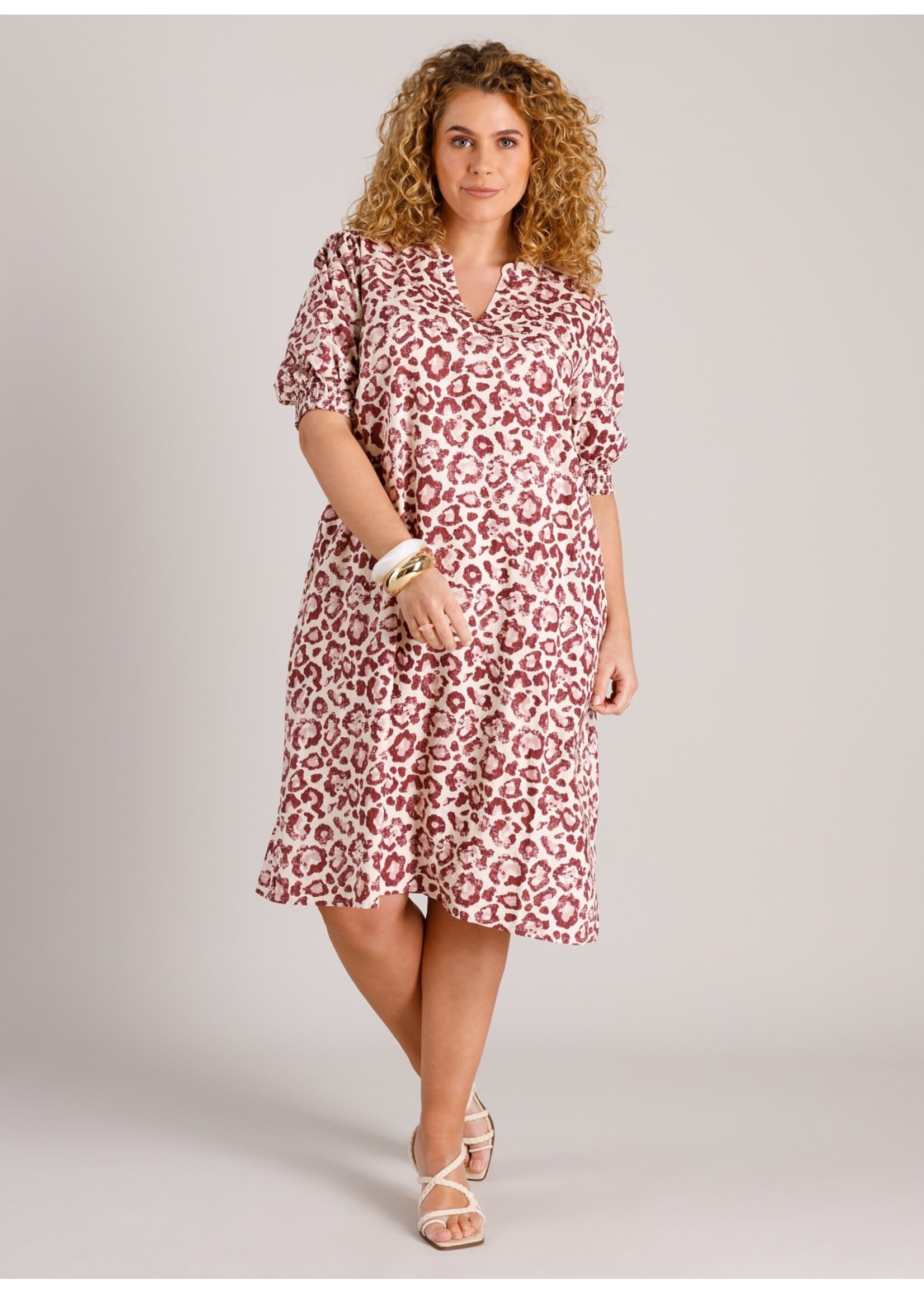 Yest Curve Yest Curve A006168 26.1.2