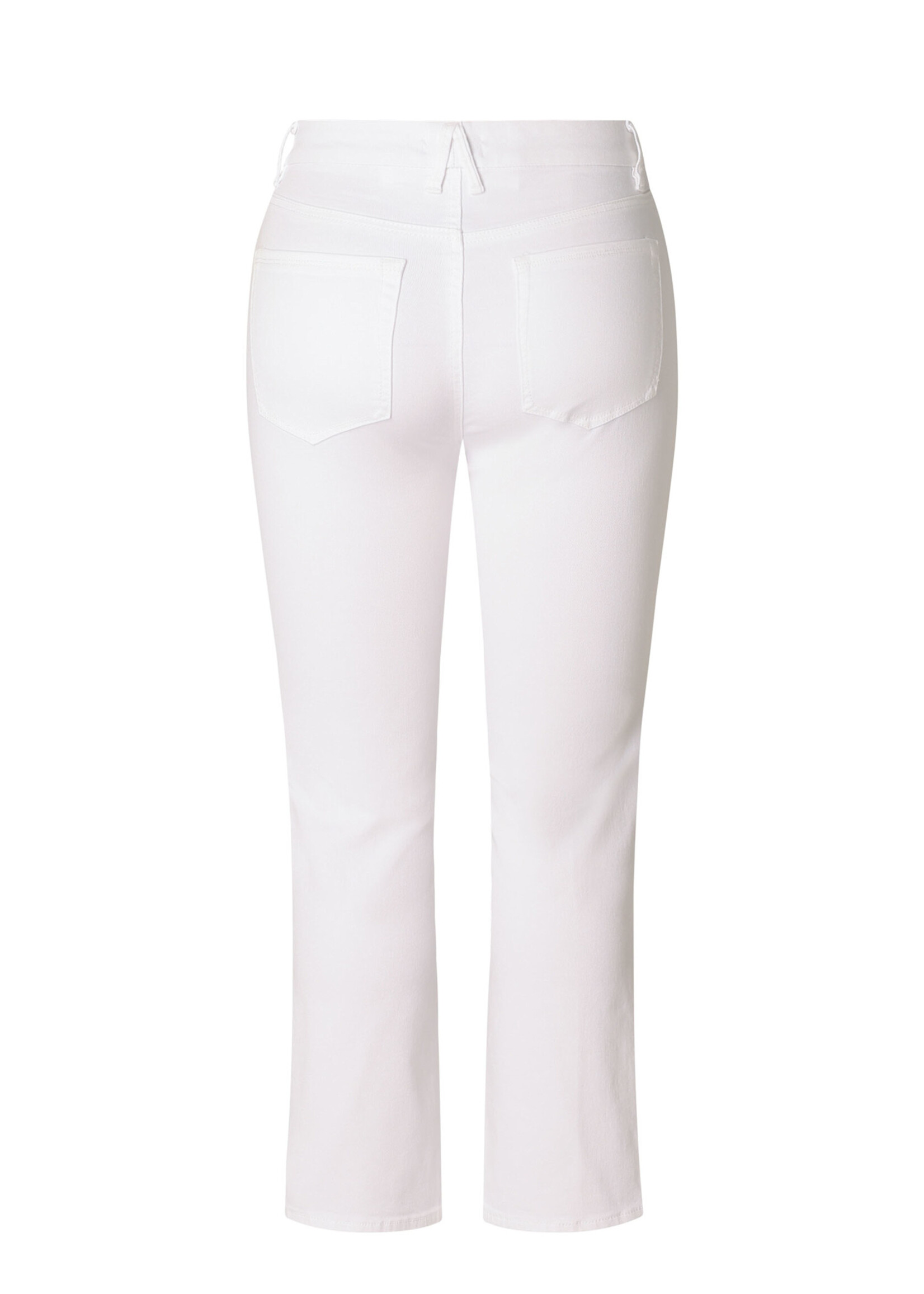 Yest Curve Yest Curve A006183 26.1.2