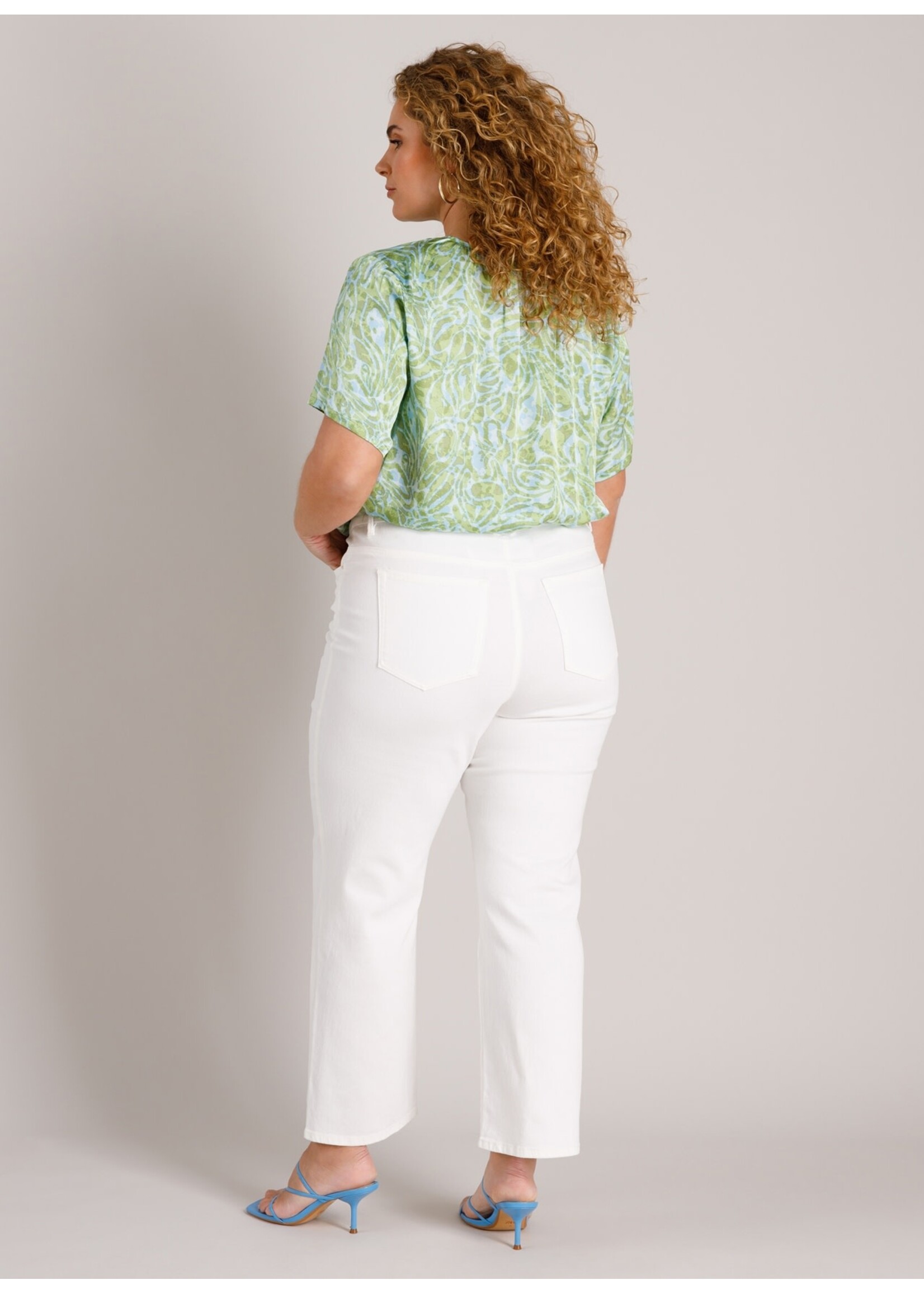 Yest Curve Yest Curve A006183 26.1.2