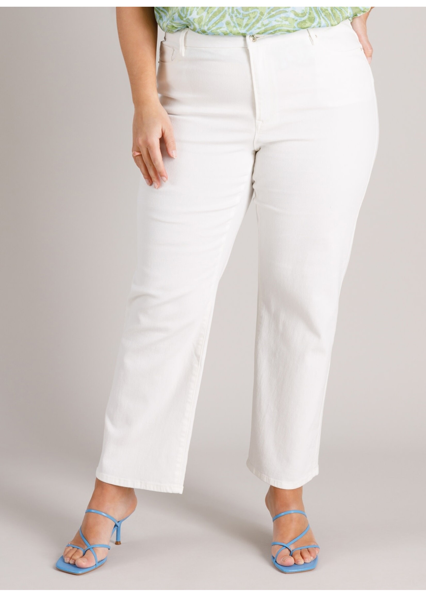 Yest Curve Yest Curve A006183 26.1.2