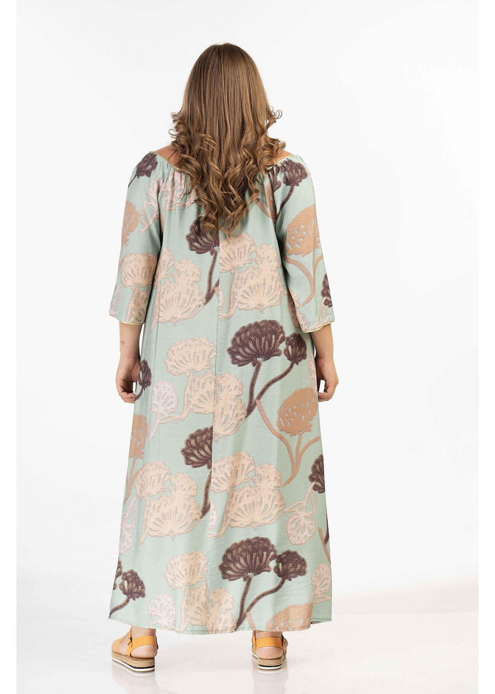 Curviss Curviss 2665.92764 26.1