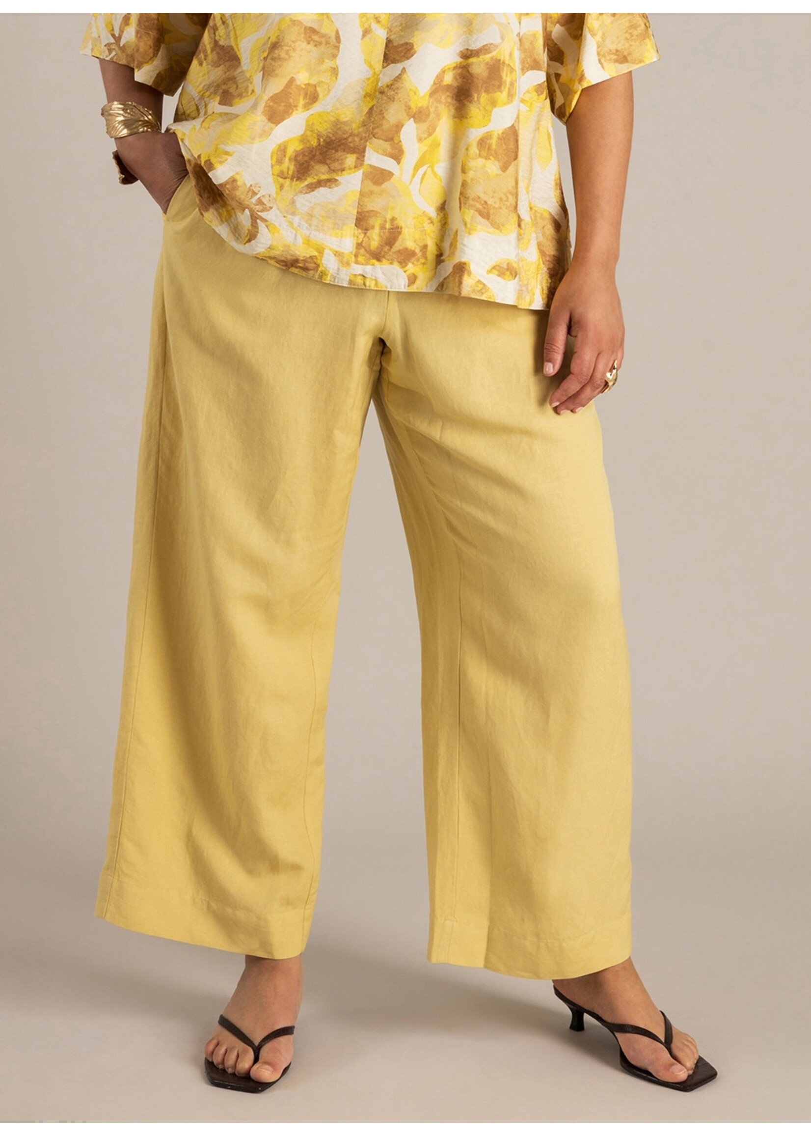 Yest Curve Yest Curve A006268 26.1.3