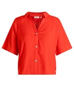 Yest Curve Yest Curve A006291 26.1.3