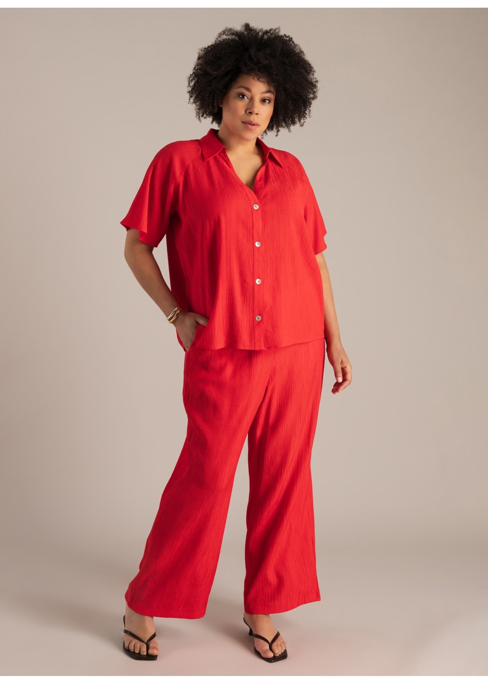 Yest Curve Yest Curve A006291 26.1.3