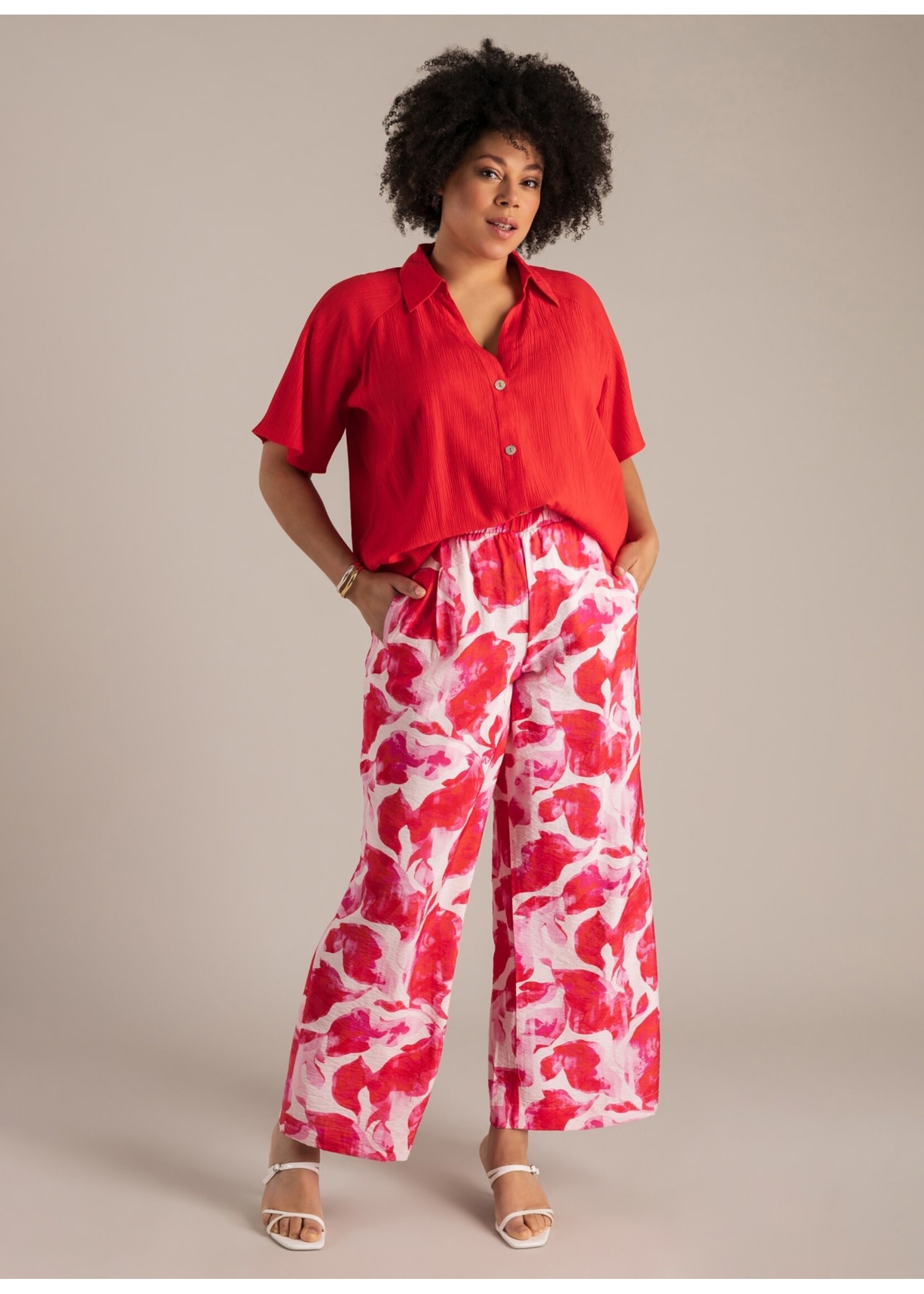 Yest Curve Yest Curve A006291 26.1.3