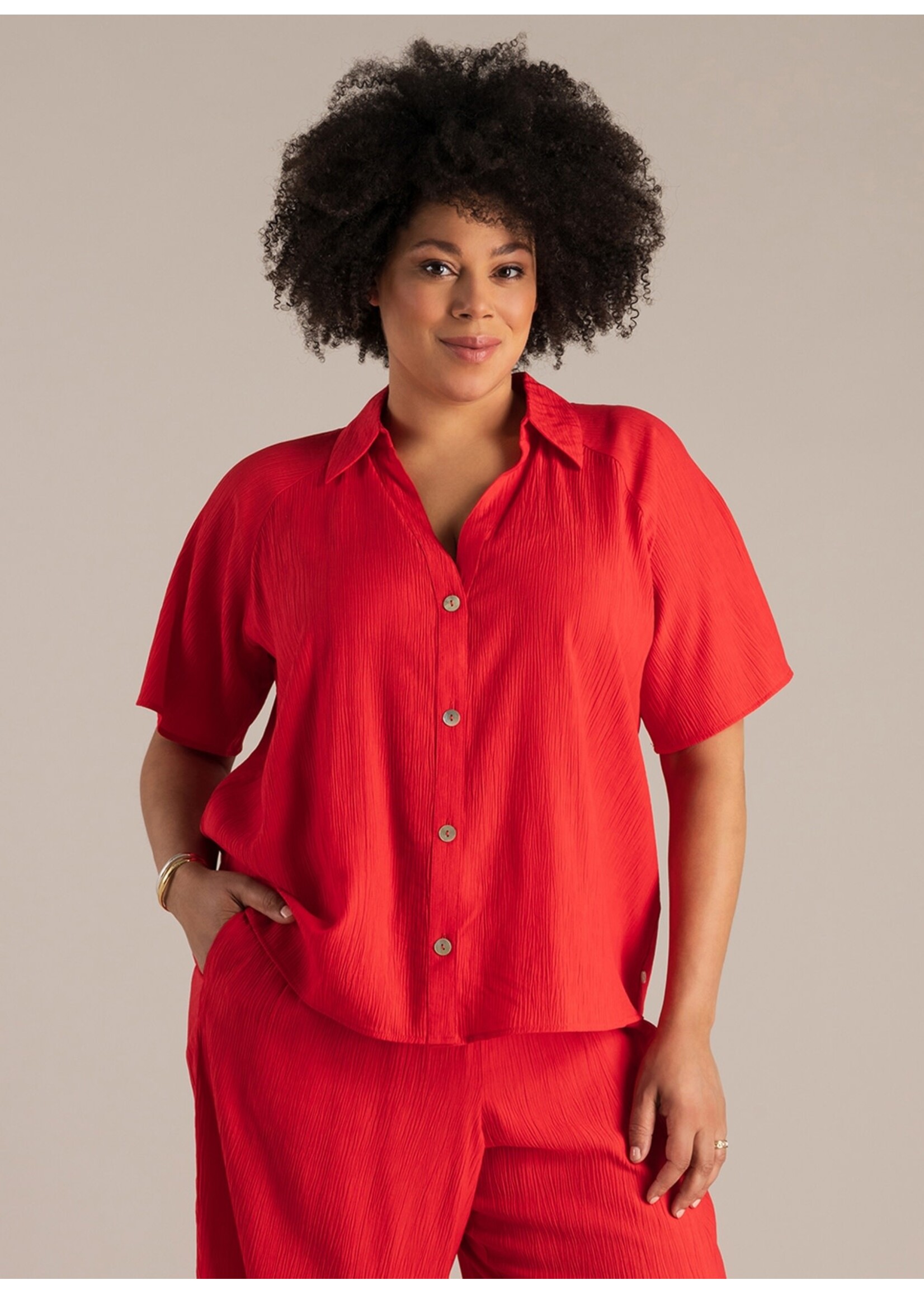 Yest Curve Yest Curve A006291 26.1.3