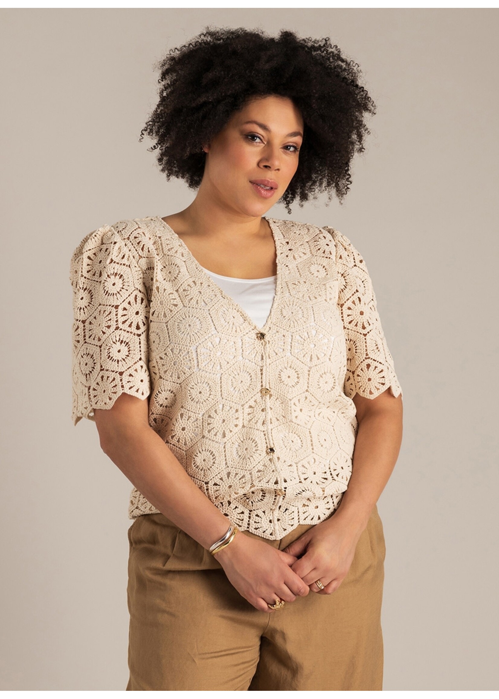 Yest Curve Yest Curve A006313 26.1.3