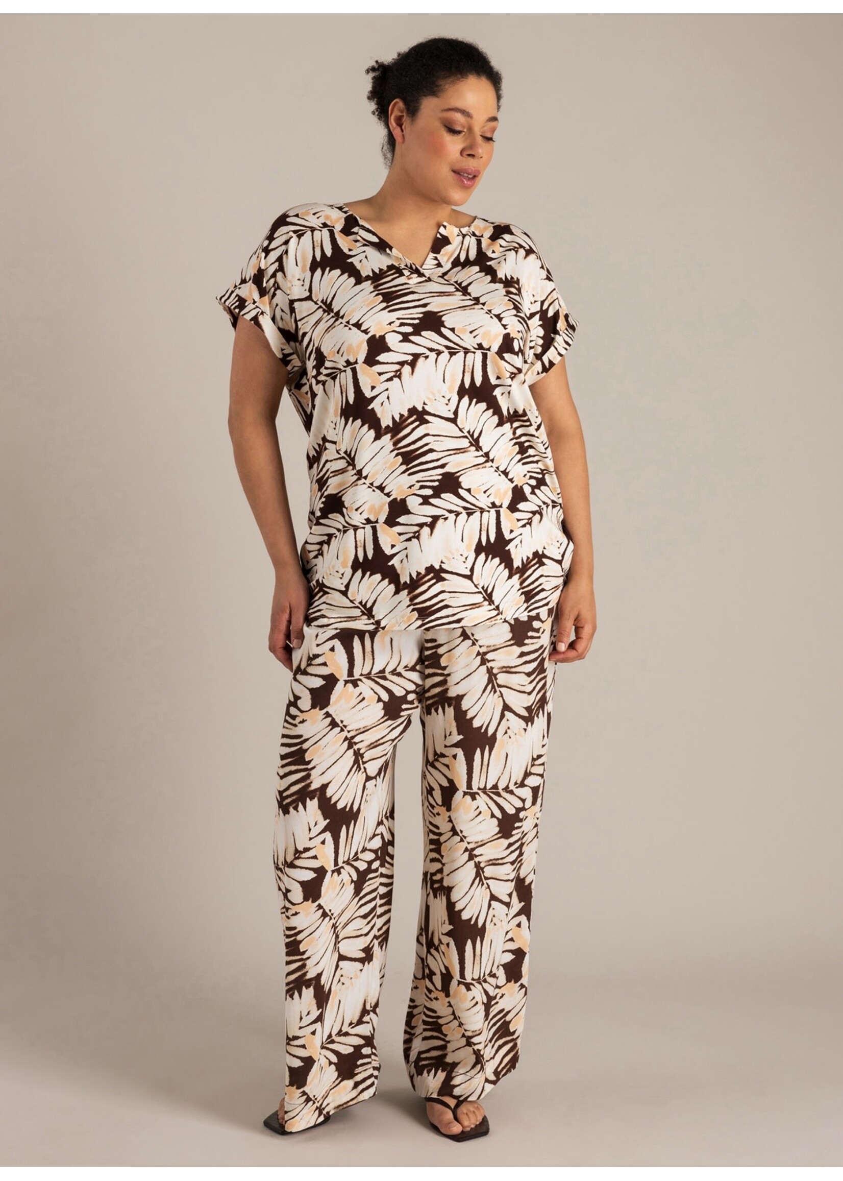 Yest Curve Yest Curve A006336 26.1.3