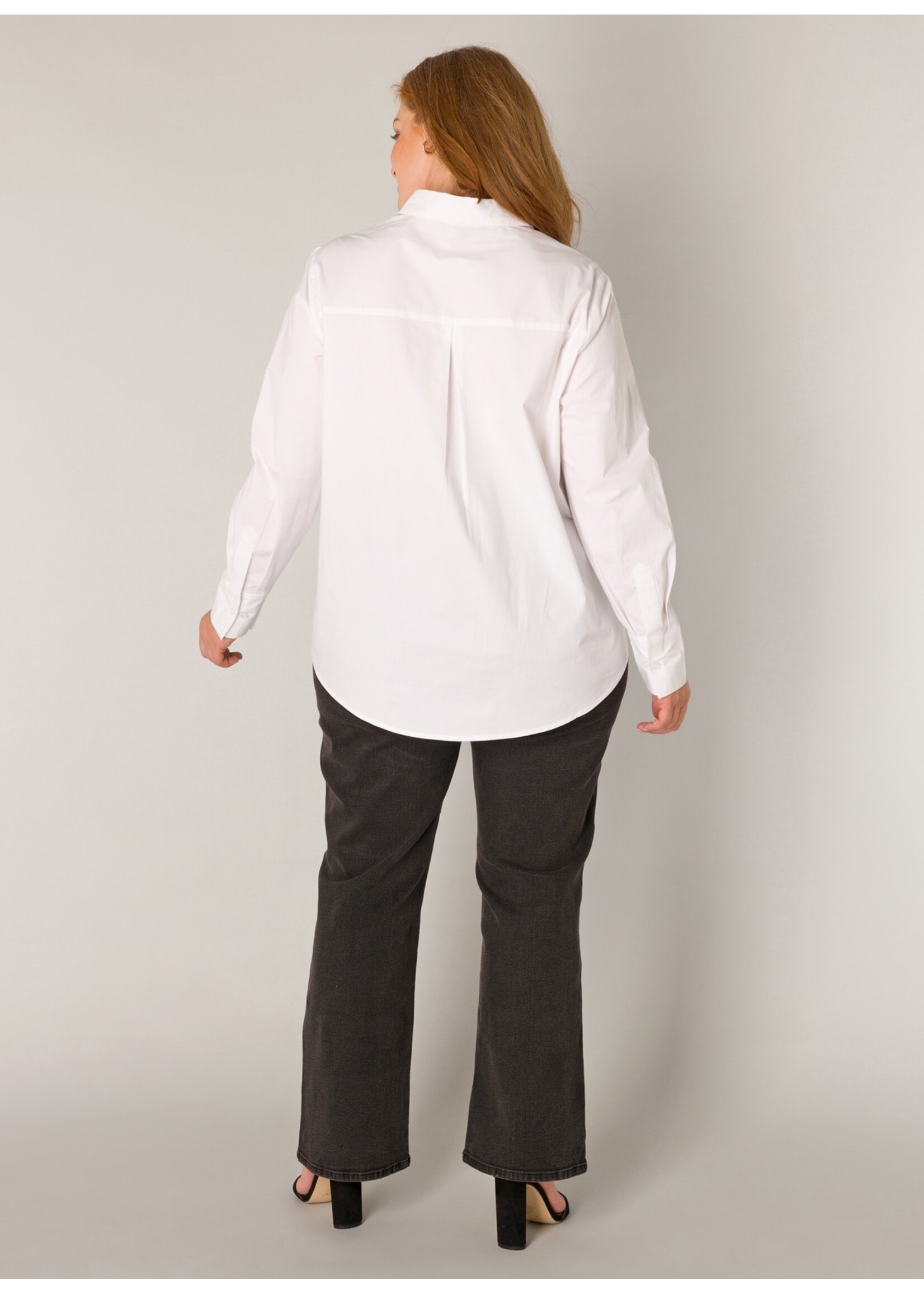 Base Level Curvy Base level curvy Aliza 7000109