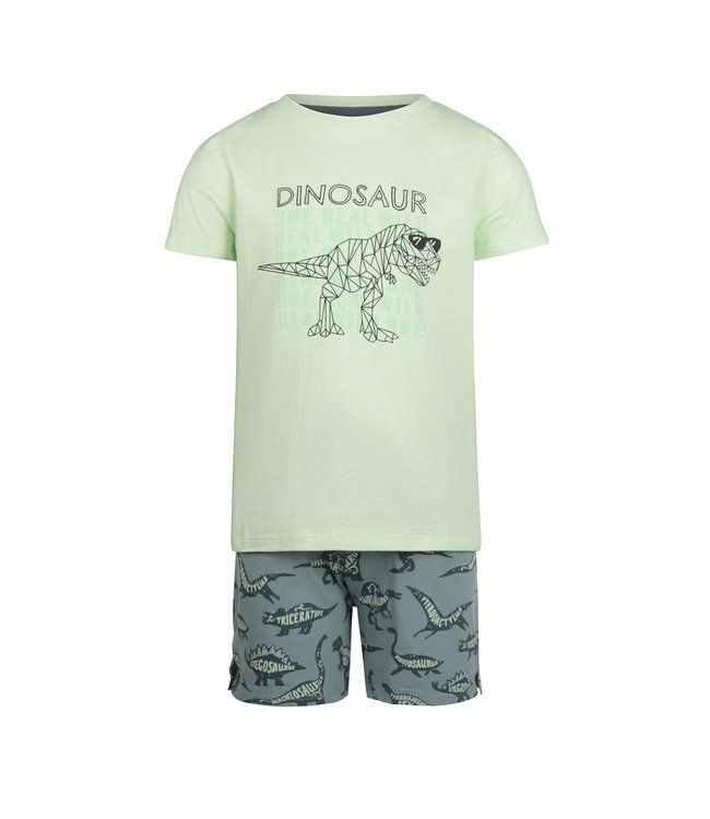 Charlie Choe Tweedelige pyjama Dinosaur