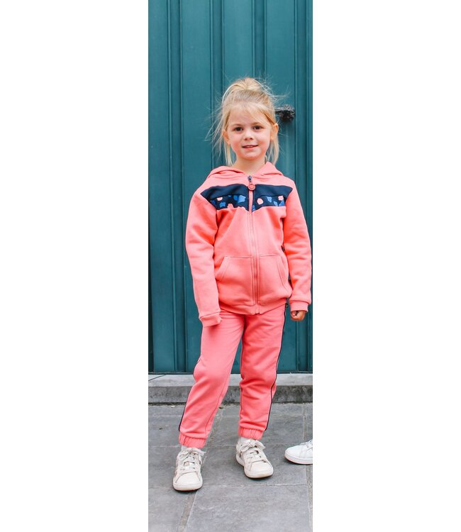 Lemon Beret Sweater roze met rits Bubbles