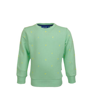 Someone Fluo mint groene trui Smiley