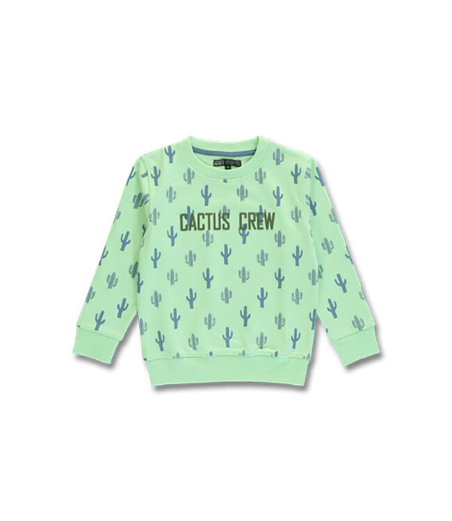 Lemon Beret Trui Mint Cactus Crew