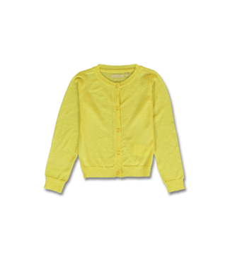 Lemon Beret Cardigan Geel