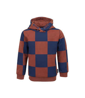 Someone Hoodie geruit bruin/blauw