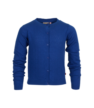 Someone Cardigan kobalt blauw