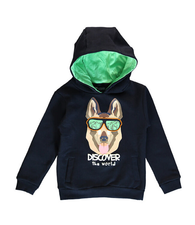 Lemon Beret Hoodie Blauw Discover the world dog