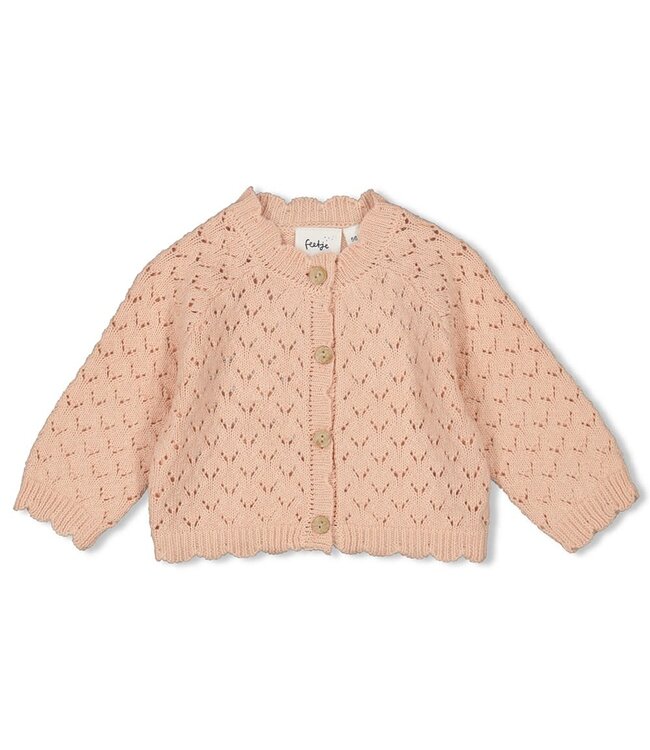 Feetje Gebreide cardigan Little Rosebud lichtroze