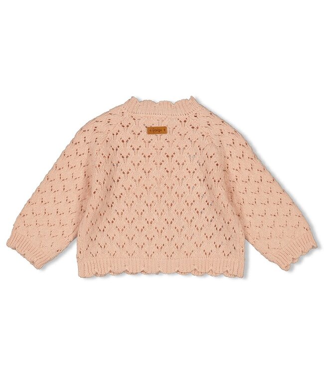 Feetje Gebreide cardigan Little Rosebud lichtroze