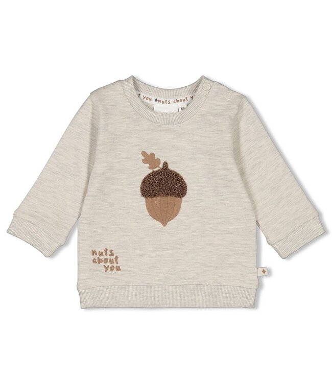 Feetje Sweater acorn Grijs