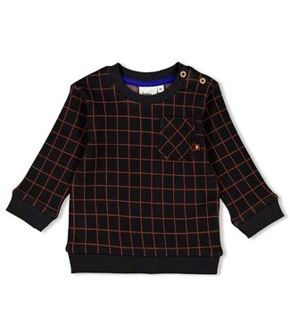 Feetje Sweater geruit Go Fetch