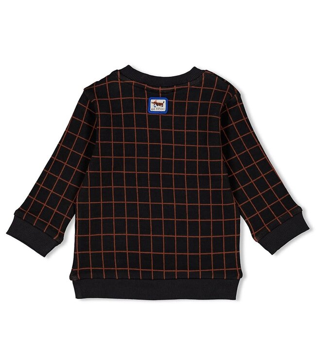 Feetje Sweater geruit Go Fetch