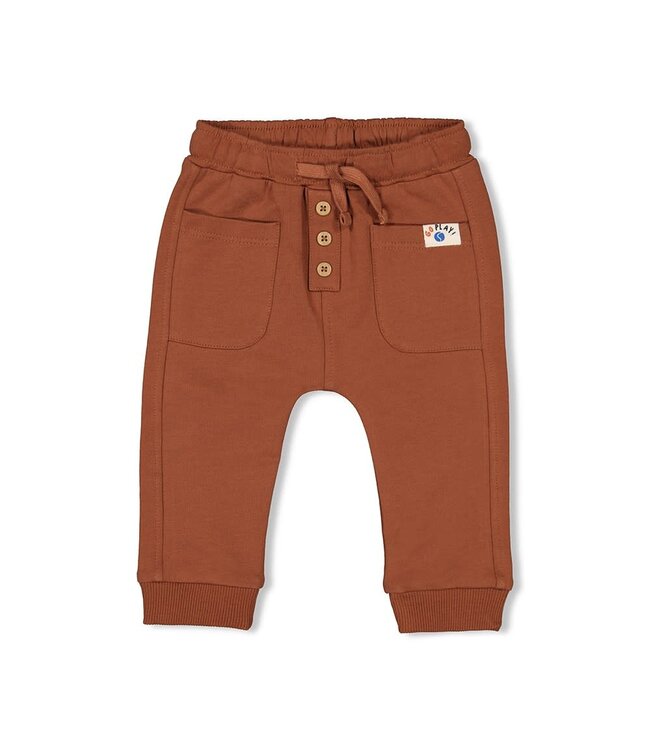 Feetje Broek Bruin Go Fetch