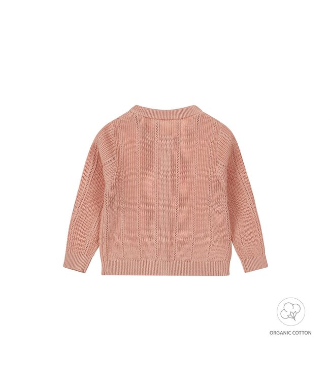 Dirkje Cardigan Dusty pink Celleste