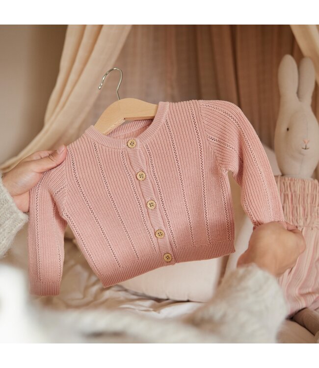 Dirkje Cardigan Dusty pink Celleste
