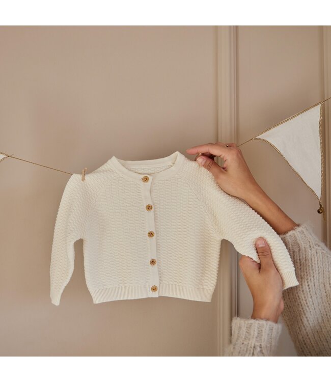 Dirkje Cardigan Ecru Celleste