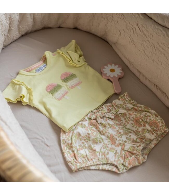 Dirkje T-Shirt Soft green ijsjes