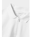 name it Polo wit
