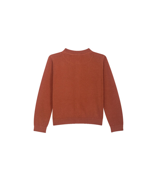 Someone Cardigan Lotje Cognac