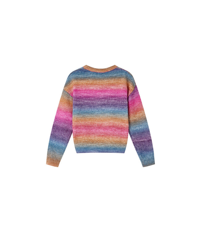 Someone Trui multi color gestreept Awesome days