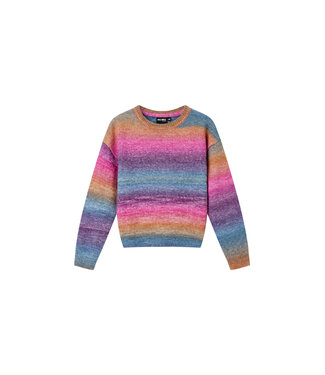 Someone Trui multi color gestreept Awesome days