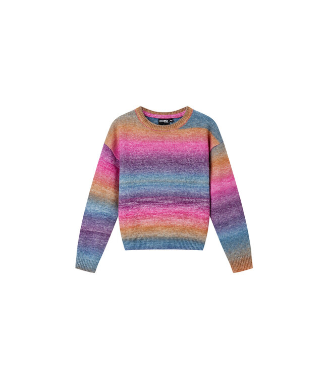 Someone Trui multi color gestreept Awesome days
