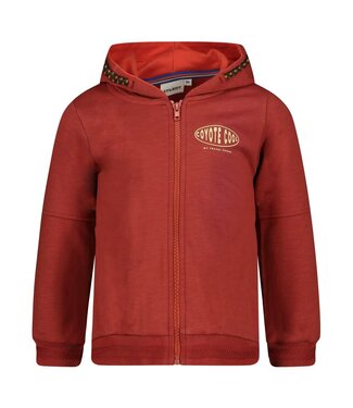 Sturdy Sweater met rits en kap roestbruin Chasing trails