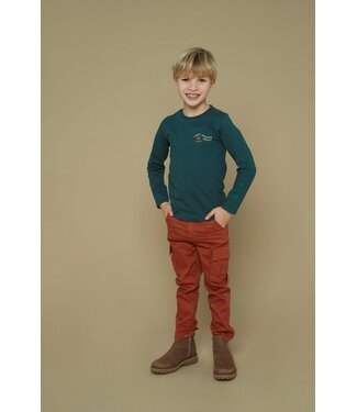 Sturdy Cargo broek Chasing trails bruin