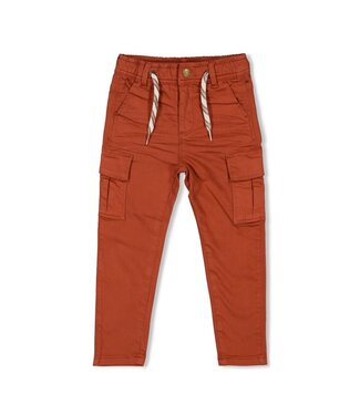Sturdy Cargo broek Chasing trails bruin