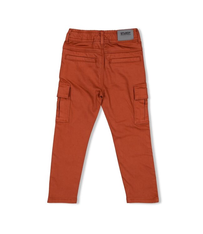 Sturdy Cargo broek Chasing trails bruin