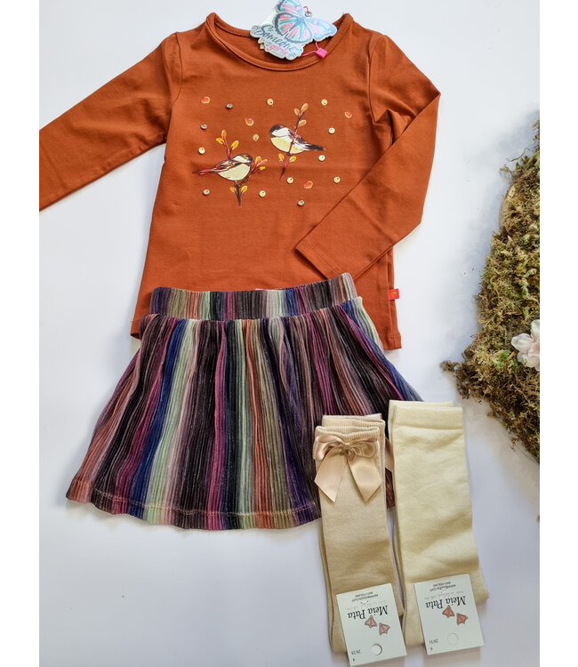 Someone Longsleeve Cognac Vogels Cilou