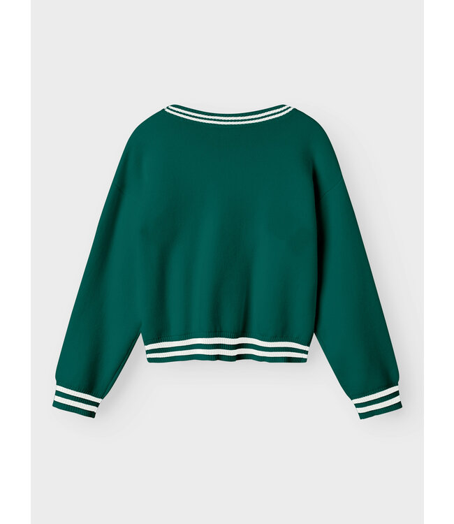 name it Sweater Brooklyn Groen witte boord