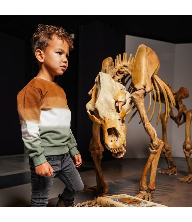 Koko Noko Trui dye groen bruin George