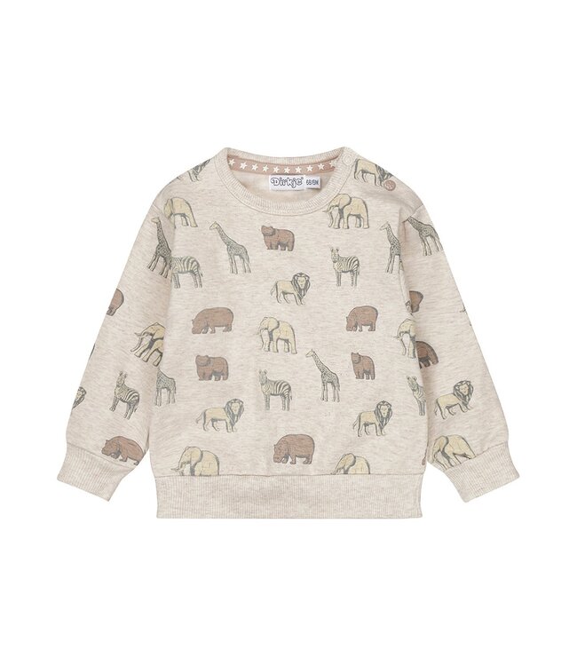 Dirkje Sweater grijs melange safari fun