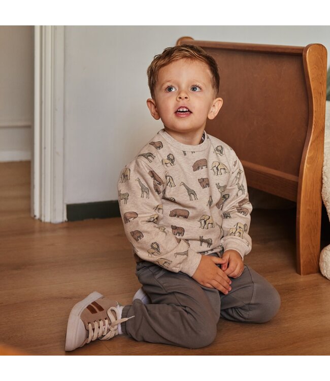 Dirkje Sweater grijs melange safari fun