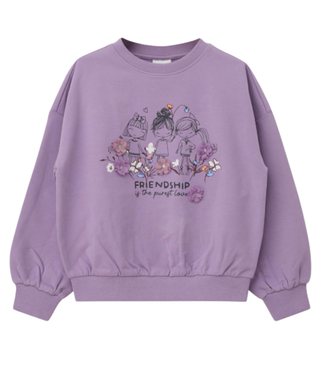 s.Oliver Lila sweater Friendschip Girls