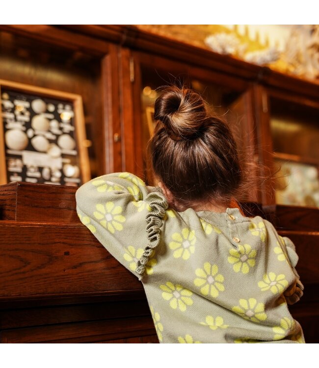 Koko Noko Trui groen madeliefjes mint