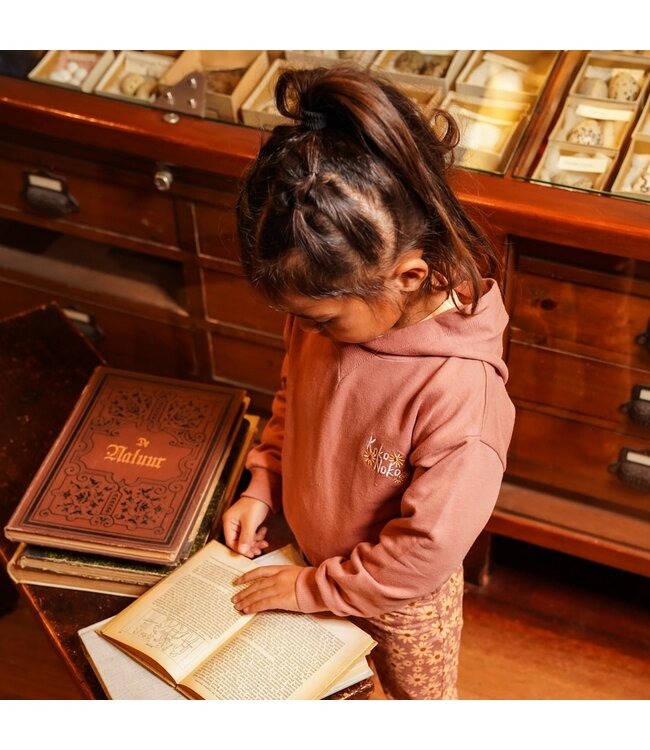 Koko Noko Oudroze sweater met strik