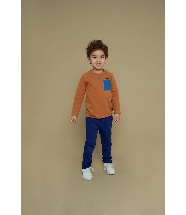 Sturdy Longsleeve hazelnut waves and whales